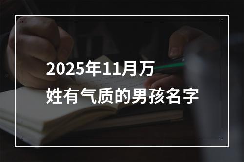 2025年11月万姓有气质的男孩名字