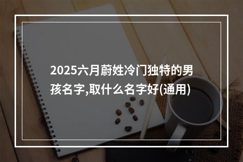 2025六月蔚姓冷门独特的男孩名字,取什么名字好(通用)
