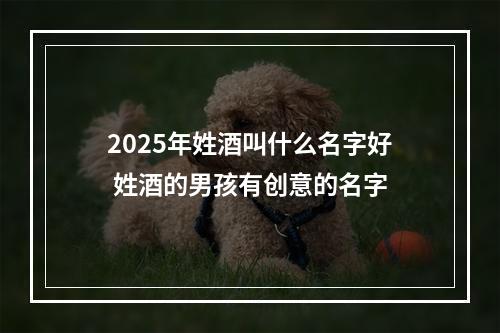 2025年姓酒叫什么名字好 姓酒的男孩有创意的名字