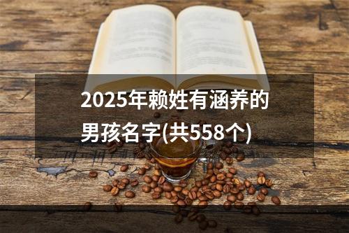 2025年赖姓有涵养的男孩名字(共558个)
