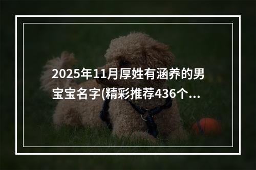 2025年11月厚姓有涵养的男宝宝名字(精彩推荐436个)