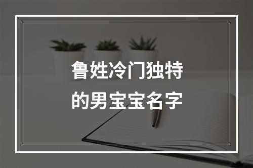 鲁姓冷门独特的男宝宝名字