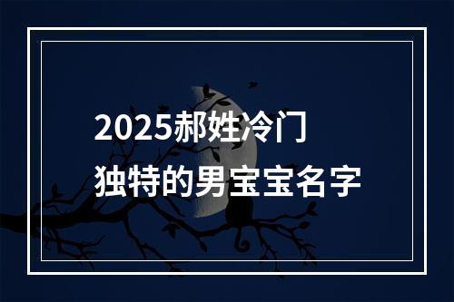 2025郝姓冷门独特的男宝宝名字