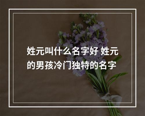 姓元叫什么名字好 姓元的男孩冷门独特的名字