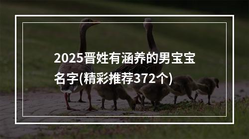 2025晋姓有涵养的男宝宝名字(精彩推荐372个)