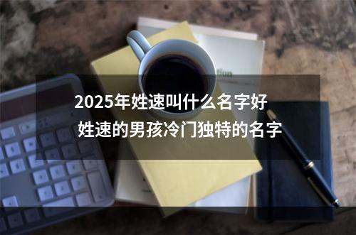2025年姓速叫什么名字好 姓速的男孩冷门独特的名字