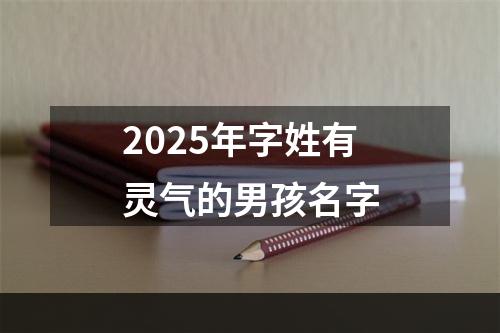 2025年字姓有灵气的男孩名字