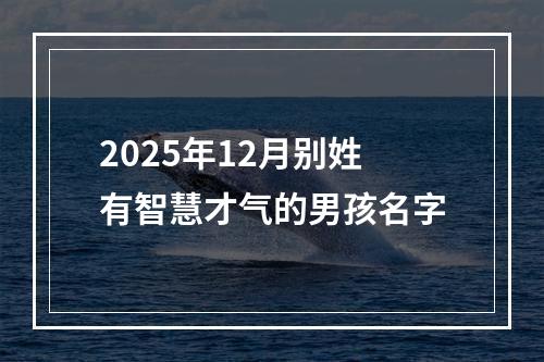 2025年12月别姓有智慧才气的男孩名字