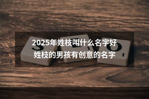 2025年姓枝叫什么名字好 姓枝的男孩有创意的名字