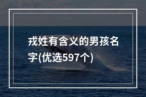 戎姓有含义的男孩名字(优选597个)