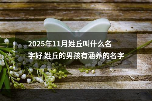 2025年11月姓丘叫什么名字好 姓丘的男孩有涵养的名字