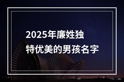 2025年廉姓独特优美的男孩名字