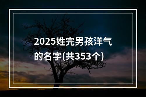 2025姓完男孩洋气的名字(共353个)