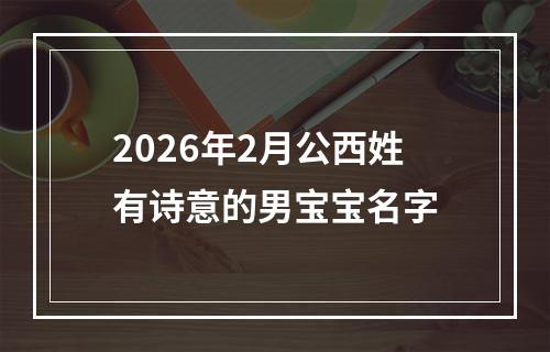 2026年2月公西姓有诗意的男宝宝名字