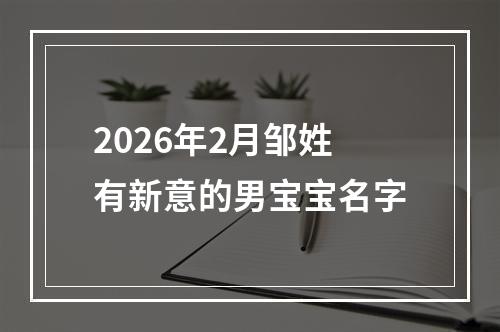 2026年2月邹姓有新意的男宝宝名字