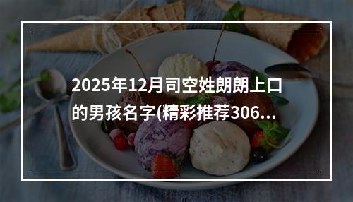 2025年12月司空姓朗朗上口的男孩名字(精彩推荐306个)