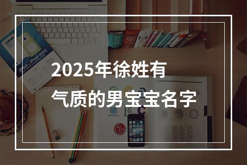 2025年徐姓有气质的男宝宝名字