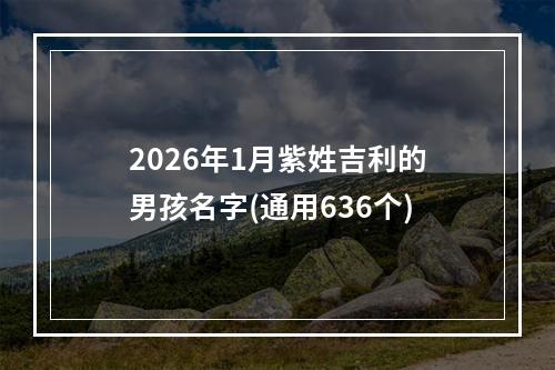 2026年1月紫姓吉利的男孩名字(通用636个)