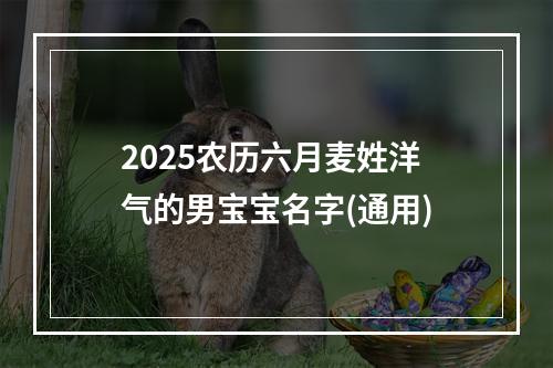 2025农历六月麦姓洋气的男宝宝名字(通用)