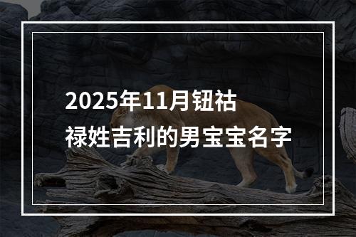 2025年11月钮祜禄姓吉利的男宝宝名字