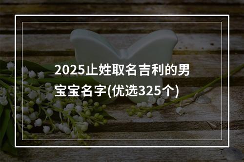 2025止姓取名吉利的男宝宝名字(优选325个)