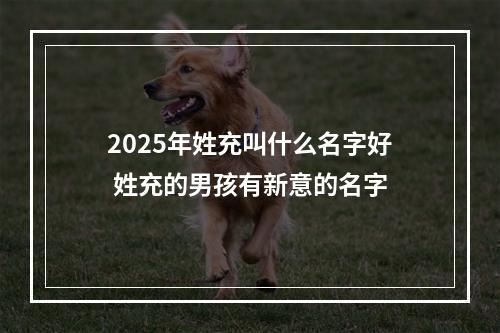 2025年姓充叫什么名字好 姓充的男孩有新意的名字
