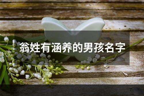 翁姓有涵养的男孩名字