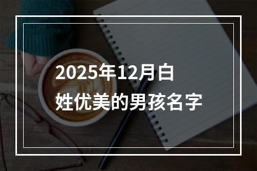 2025年12月白姓优美的男孩名字