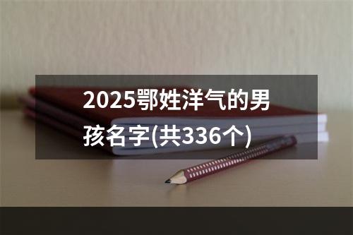 2025鄂姓洋气的男孩名字(共336个)