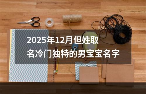 2025年12月但姓取名冷门独特的男宝宝名字