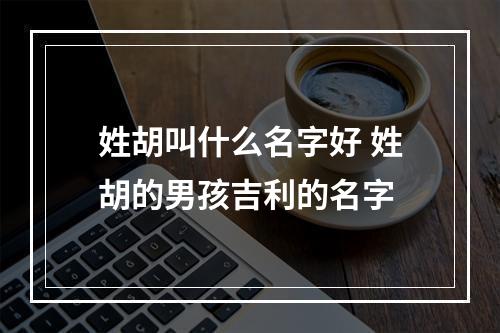 姓胡叫什么名字好 姓胡的男孩吉利的名字