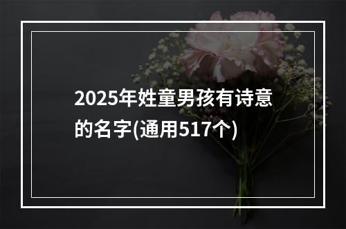 2025年姓童男孩有诗意的名字(通用517个)