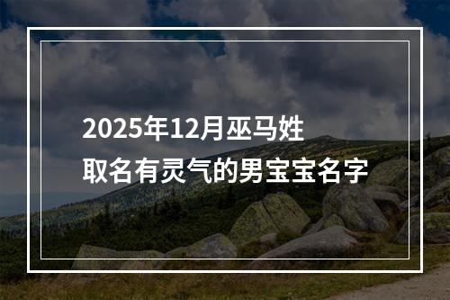 2025年12月巫马姓取名有灵气的男宝宝名字