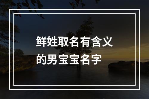 鲜姓取名有含义的男宝宝名字