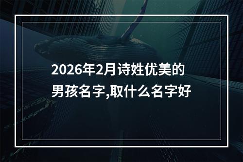 2026年2月诗姓优美的男孩名字,取什么名字好