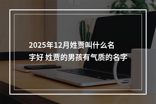 2025年12月姓贾叫什么名字好 姓贾的男孩有气质的名字