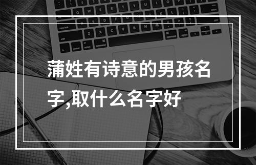 蒲姓有诗意的男孩名字,取什么名字好