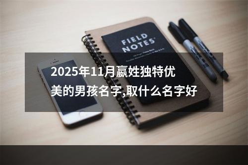 2025年11月嬴姓独特优美的男孩名字,取什么名字好
