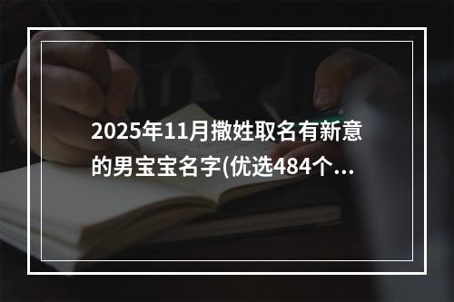 2025年11月撒姓取名有新意的男宝宝名字(优选484个)