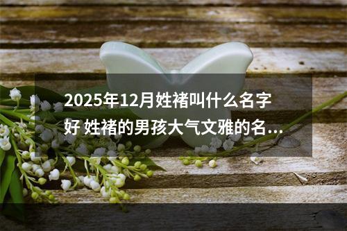 2025年12月姓褚叫什么名字好 姓褚的男孩大气文雅的名字