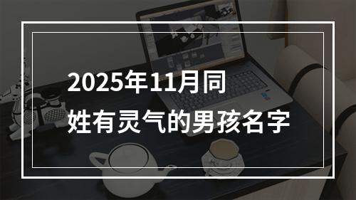 2025年11月同姓有灵气的男孩名字