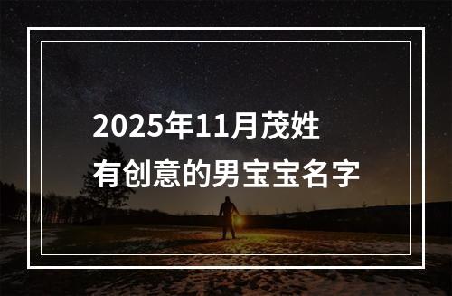 2025年11月茂姓有创意的男宝宝名字