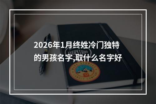 2026年1月终姓冷门独特的男孩名字,取什么名字好
