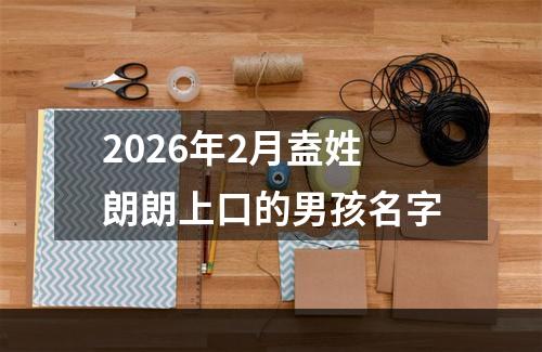 2026年2月盍姓朗朗上口的男孩名字