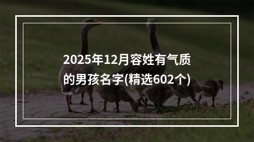 2025年12月容姓有气质的男孩名字(精选602个)