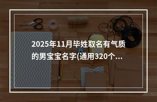 2025年11月毕姓取名有气质的男宝宝名字(通用320个)