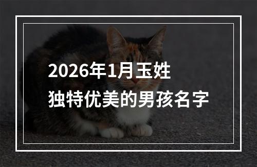 2026年1月玉姓独特优美的男孩名字