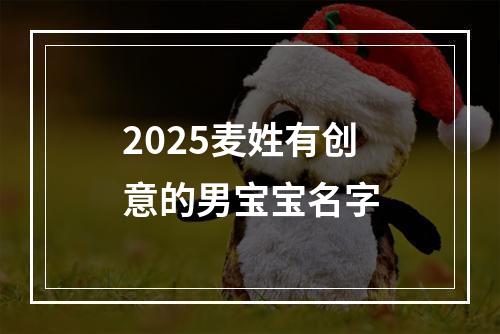 2025麦姓有创意的男宝宝名字