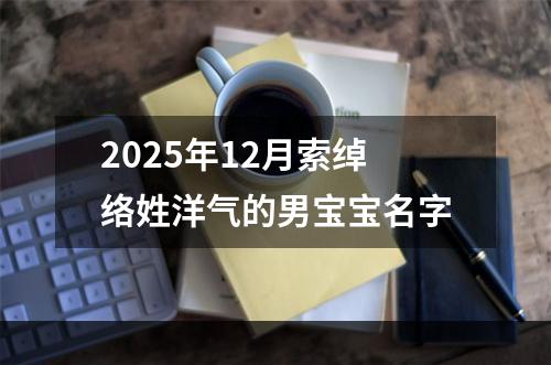 2025年12月索绰络姓洋气的男宝宝名字