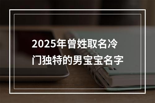2025年曾姓取名冷门独特的男宝宝名字